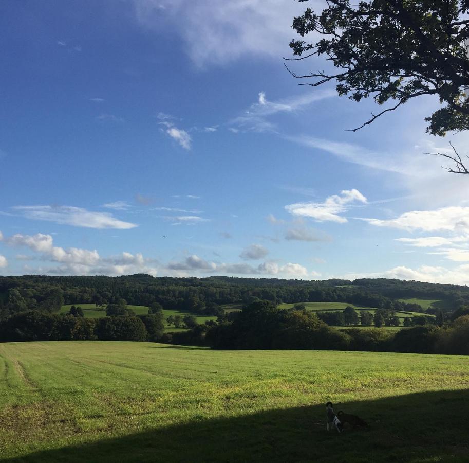 Court Barn Cottage B&B Burwash Екстер'єр фото
