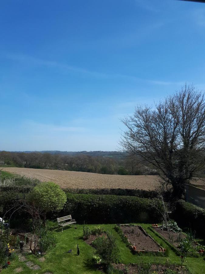 Court Barn Cottage B&B Burwash Екстер'єр фото